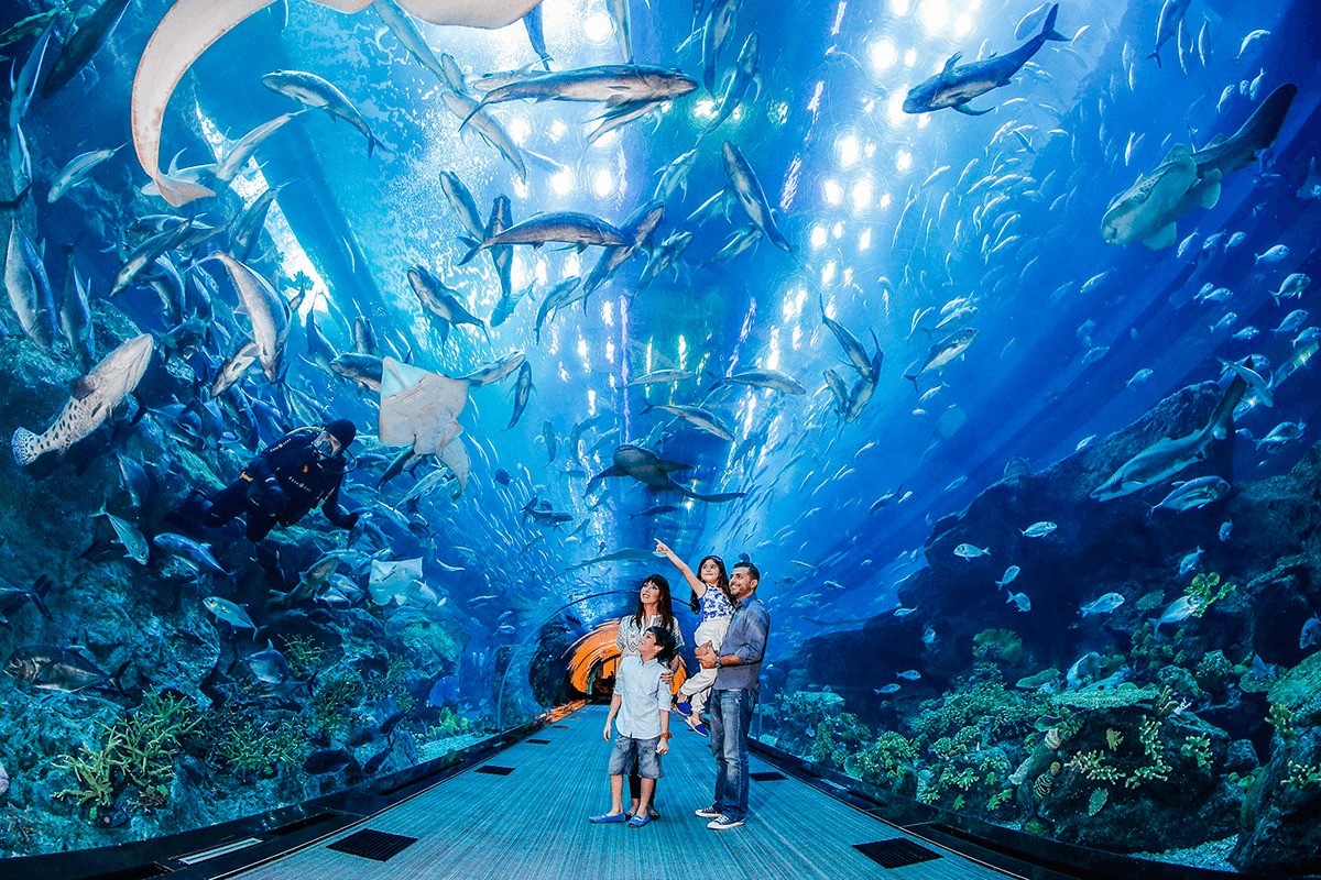 Dubai Aquarium & Underwater Zoo - Rediscover the Marine Life at Dubai Mall